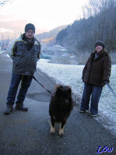 28.12.2024 - Howard im Rauhreif